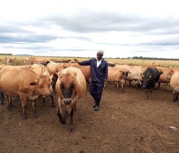 1.0(1.2)small holder dairy production 1